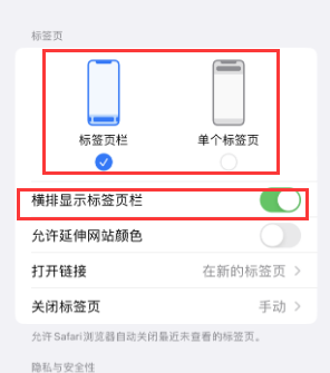 六安iPhone授权维修分享Safari浏览器如何切换标签栏位置 